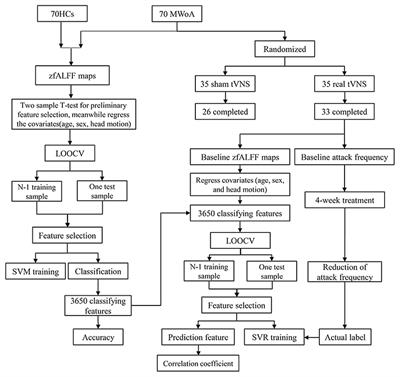 Predicting response to tVNS in patients with migraine using functional MRI: A voxels-based machine learning analysis